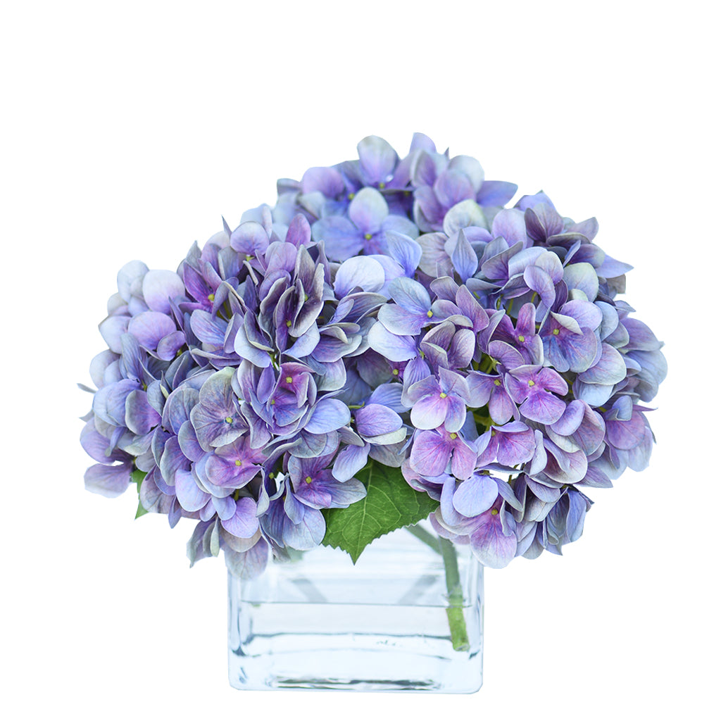 Hydrangea Arrangement