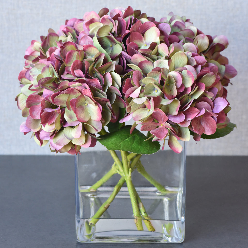 Hydrangea Arrangement