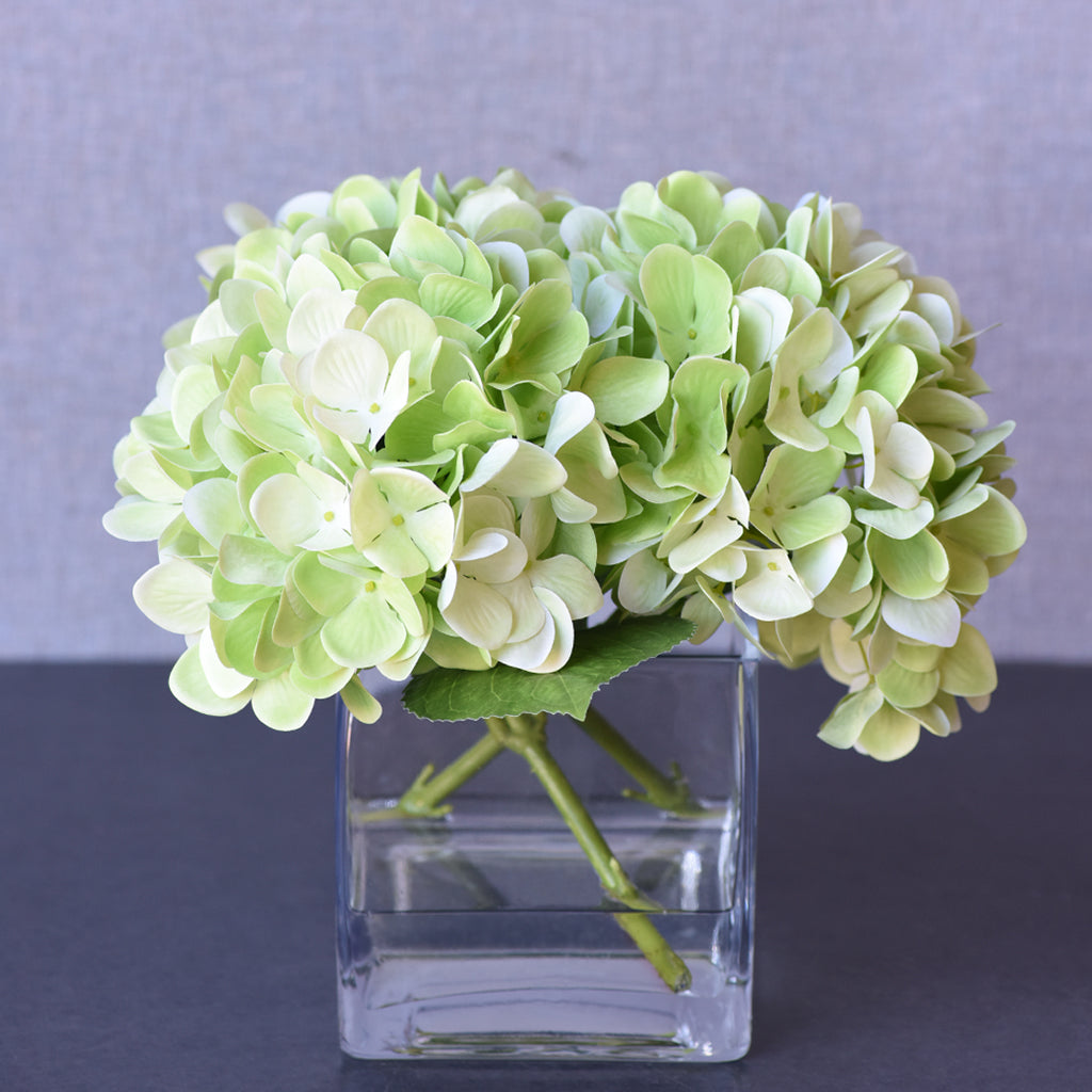 Hydrangea Arrangement