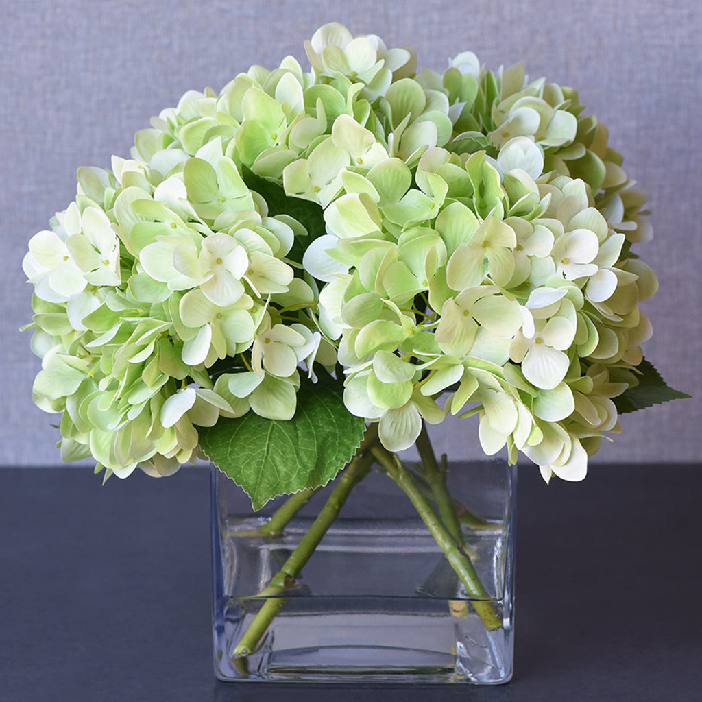 Hydrangea Arrangement