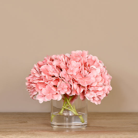 Hydrangea Flowers