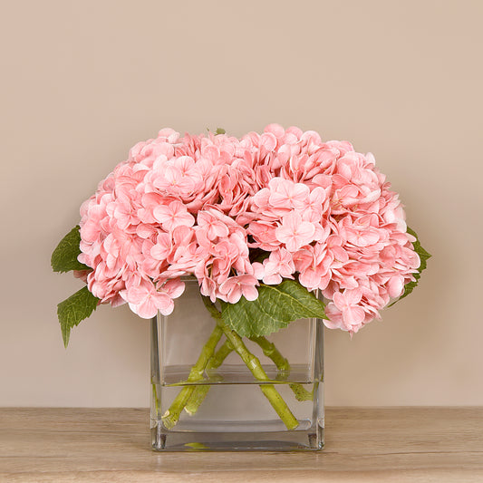 Hydrangea Flowers