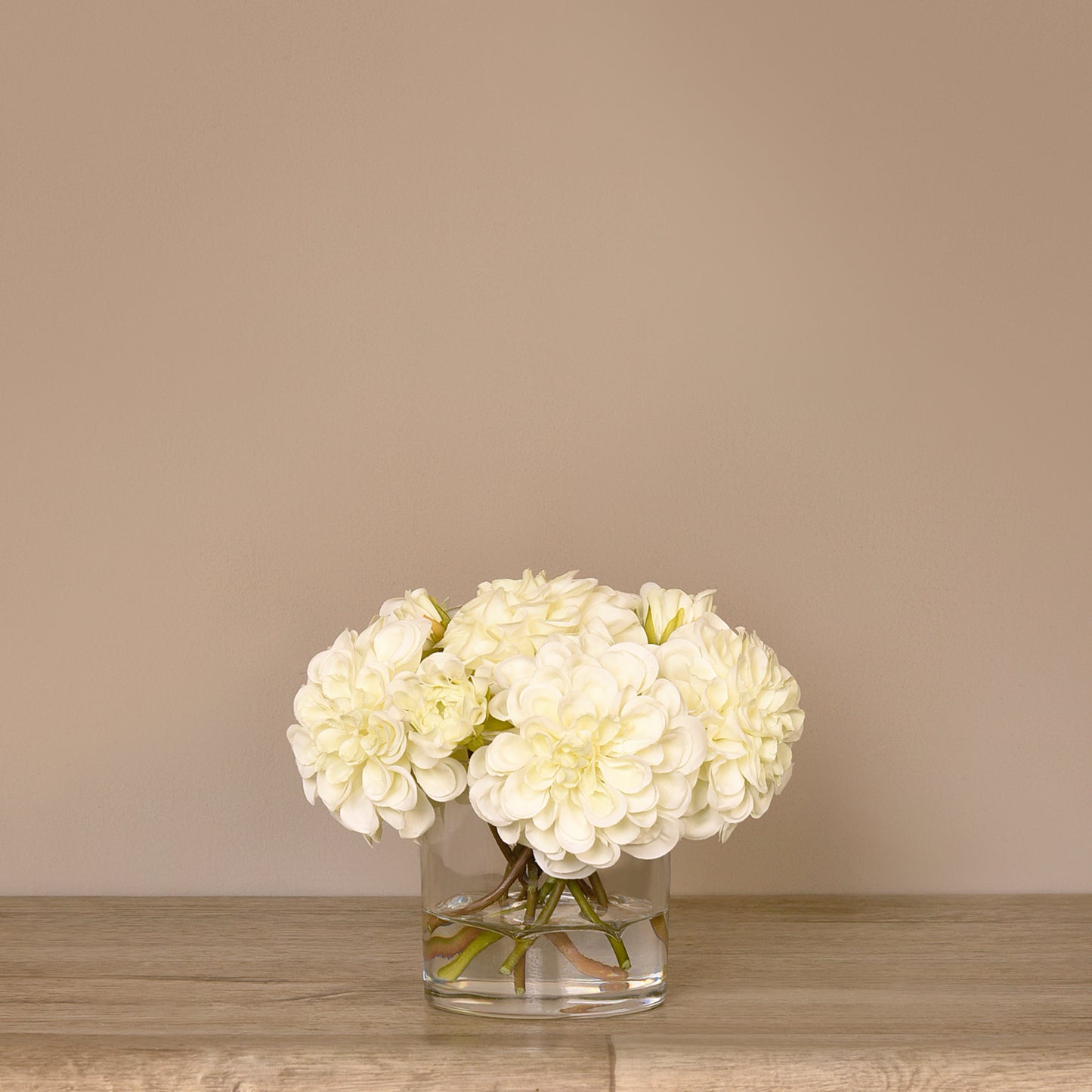 Dahlia Flowers