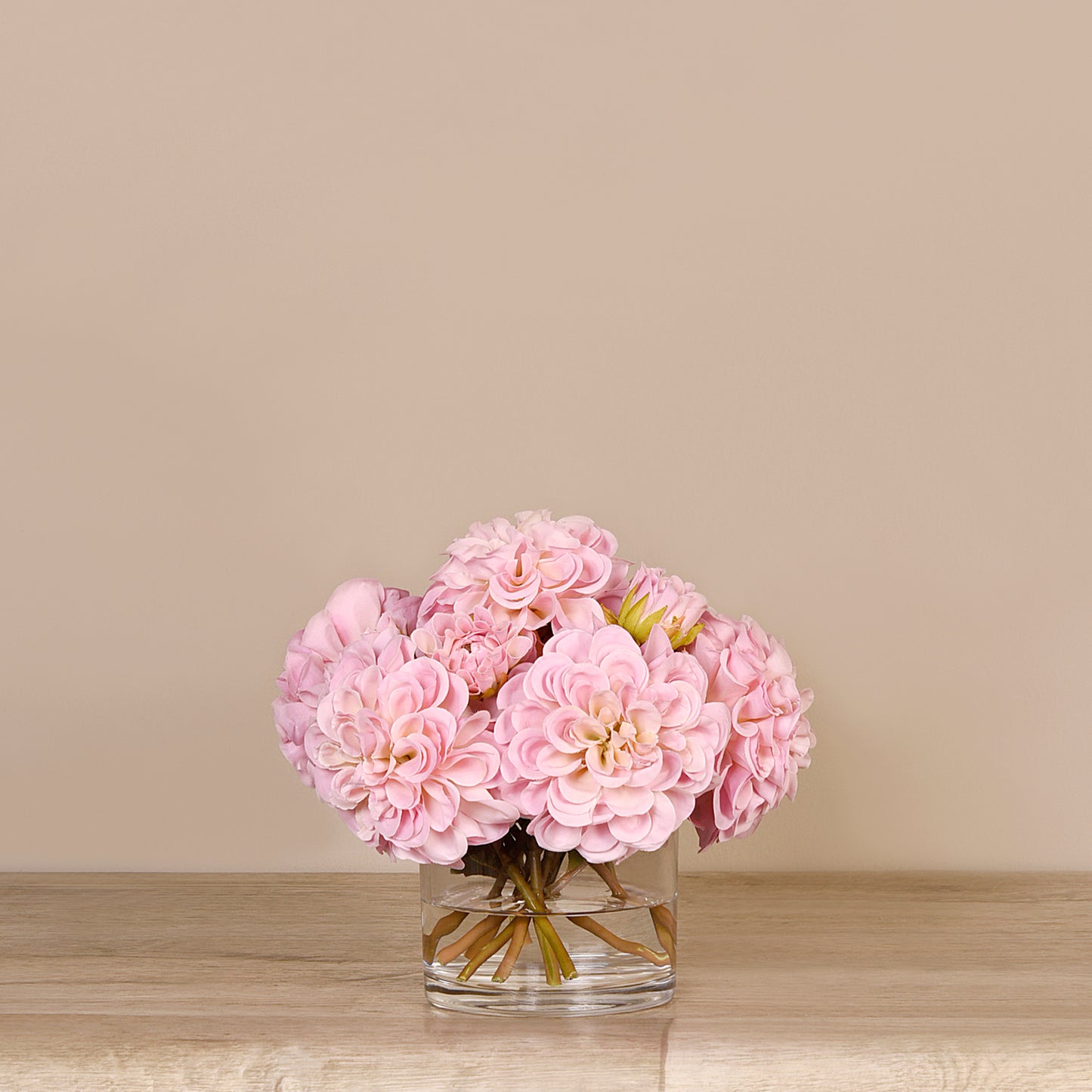 Dahlia Flowers