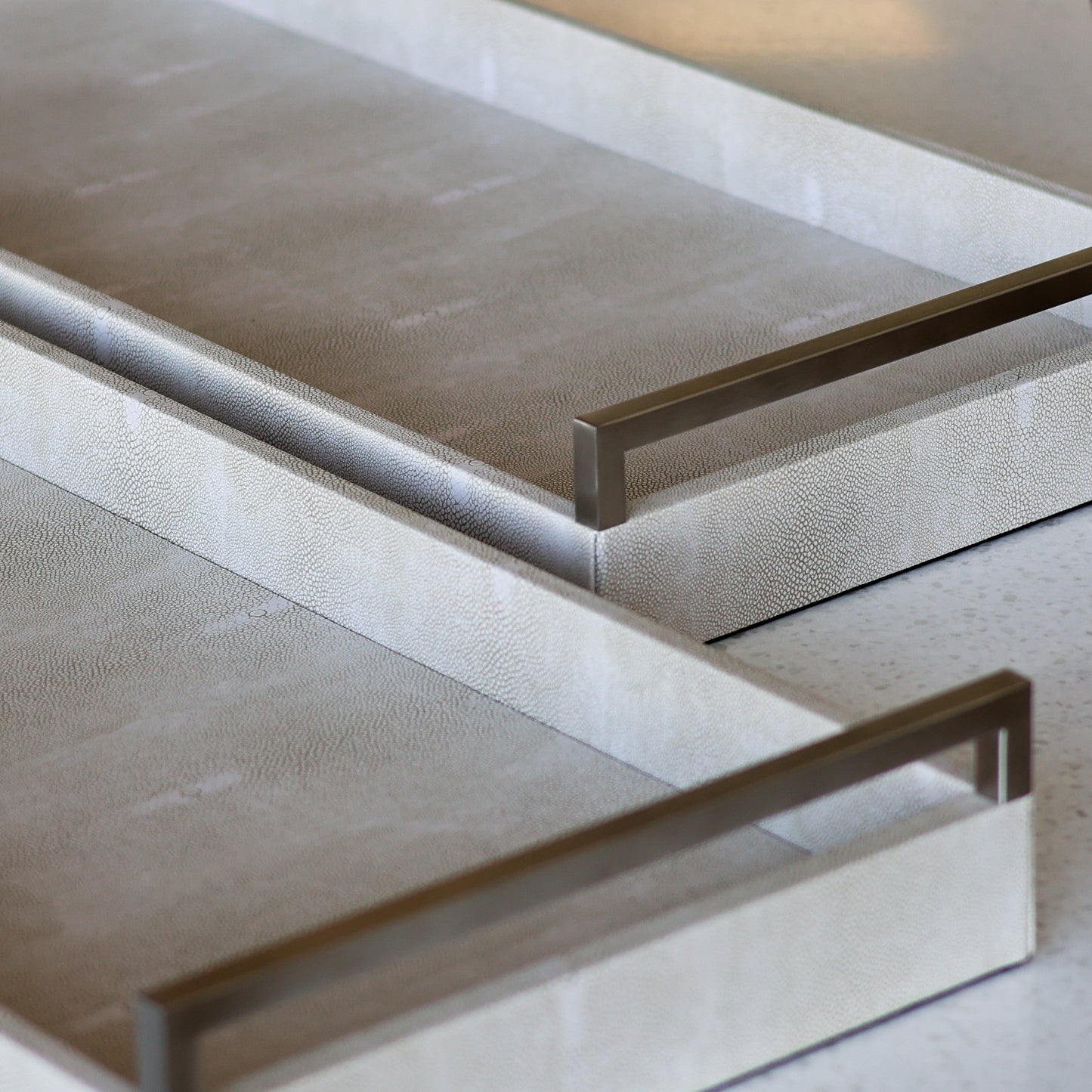 Set of 2 Faux Shagreen Tray