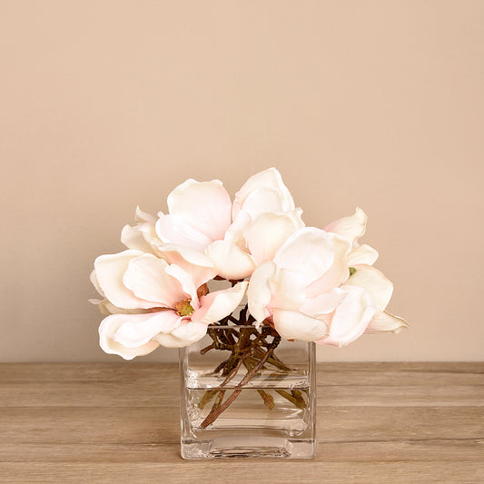Magnolia Flowers