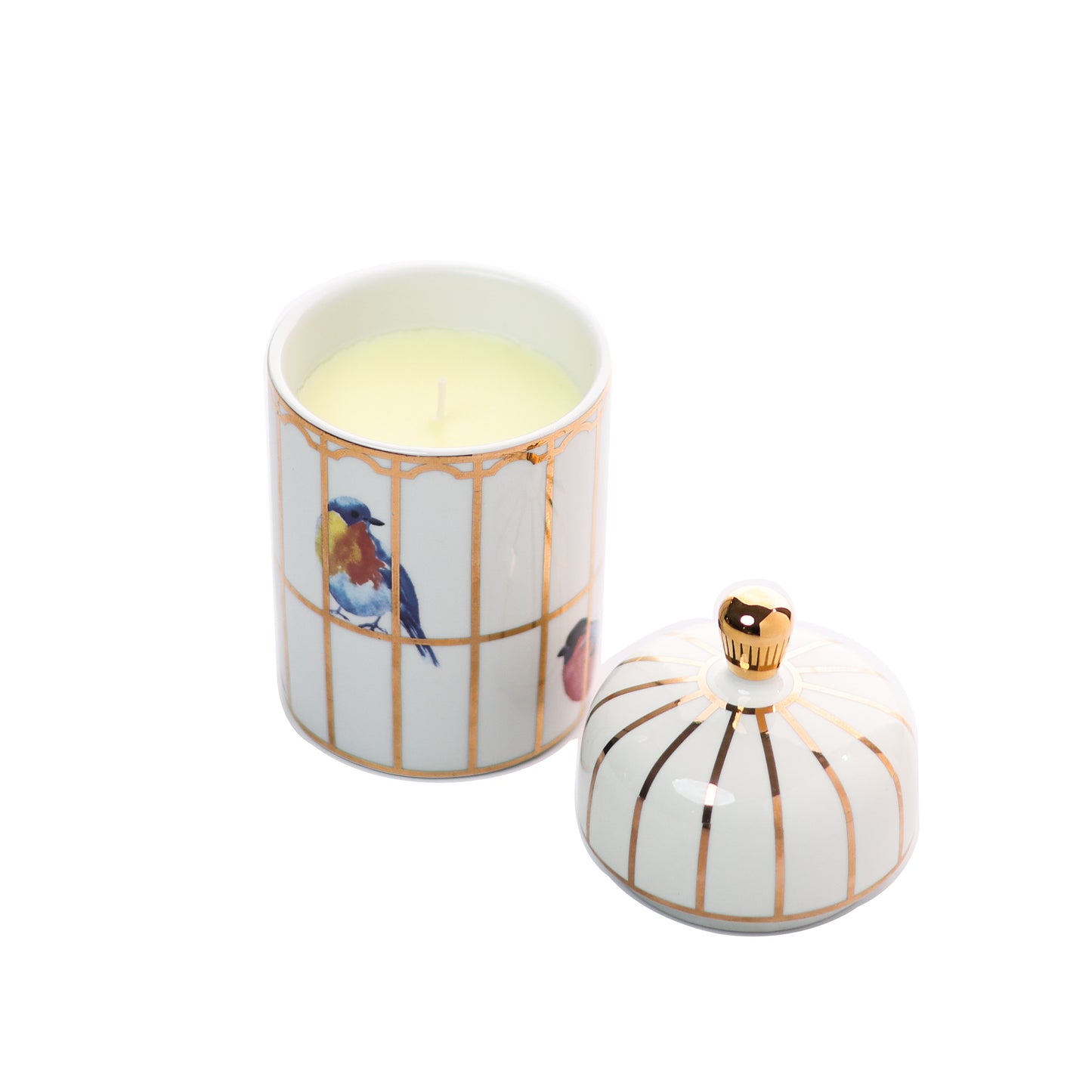 Gilded Cage Lidded Fill Candle
