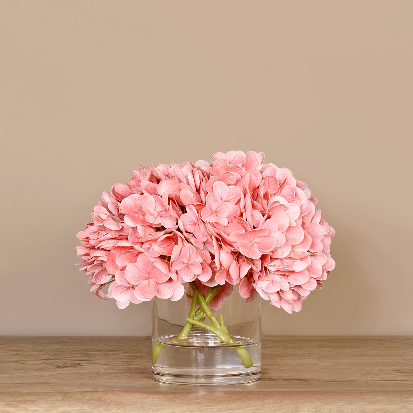 Hydrangea Flowers