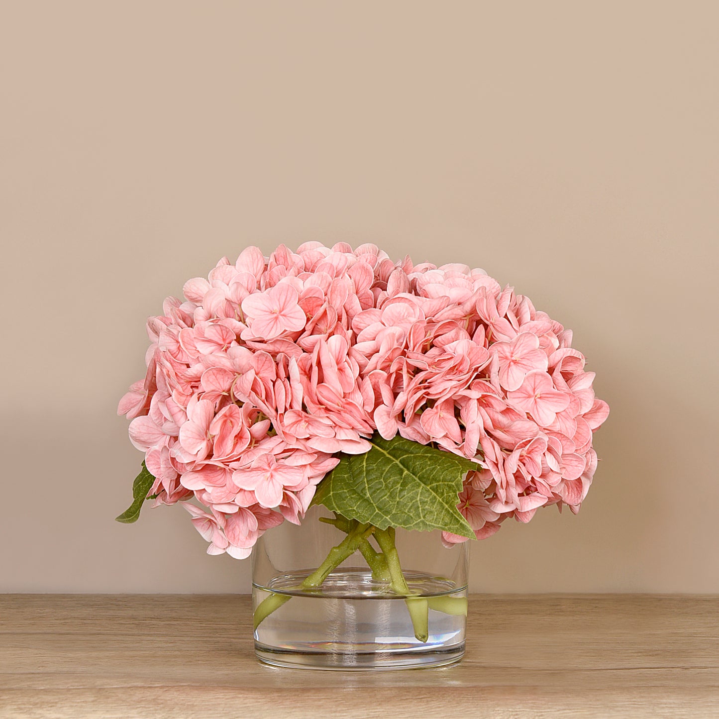 Hydrangea Flowers