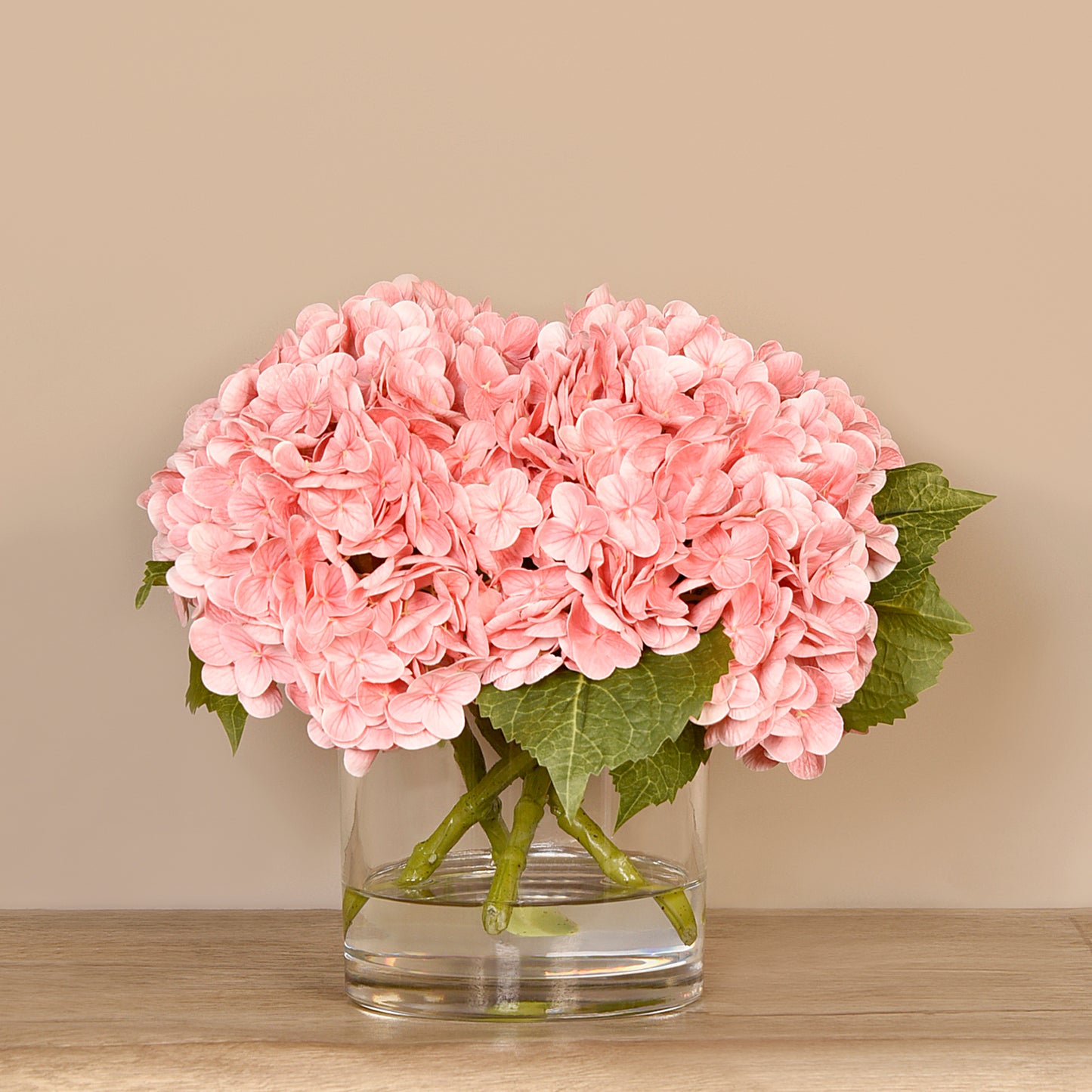 Hydrangea Flowers