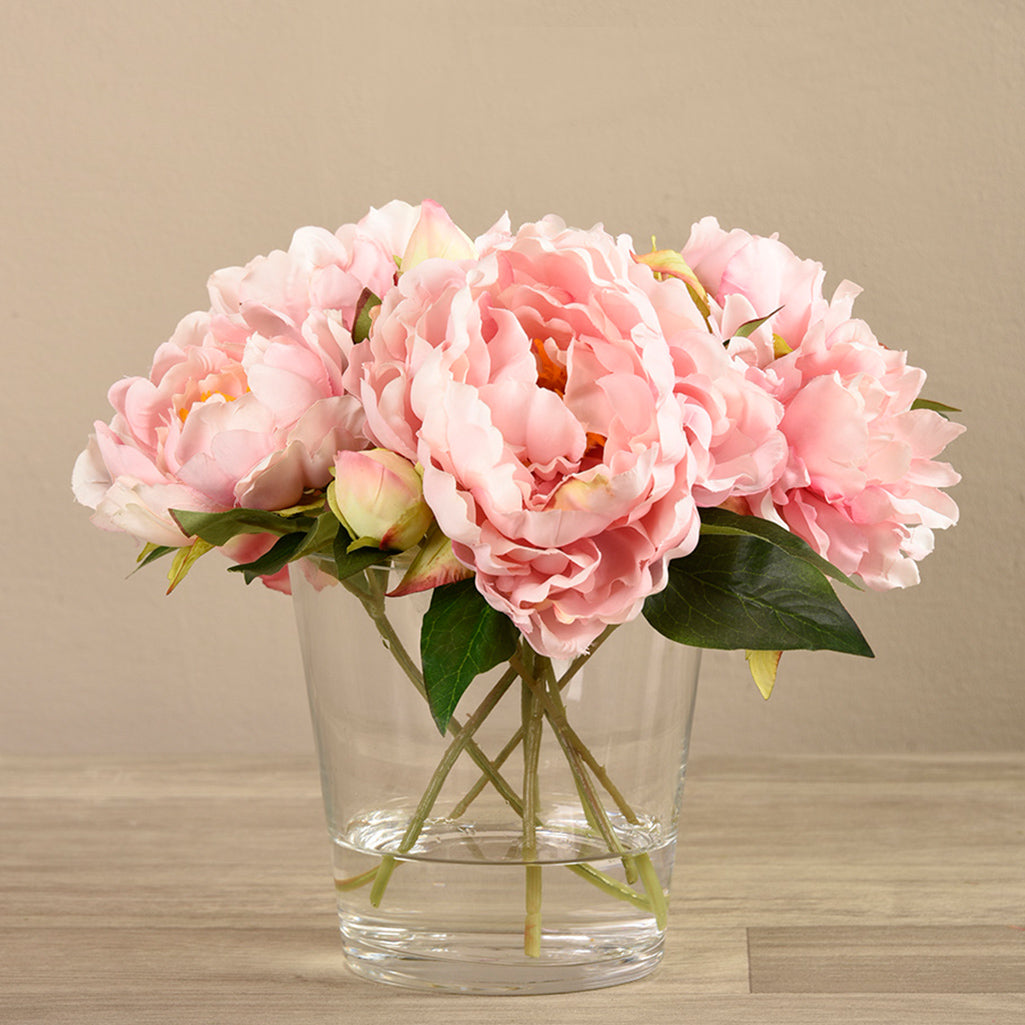 Peony Flowers