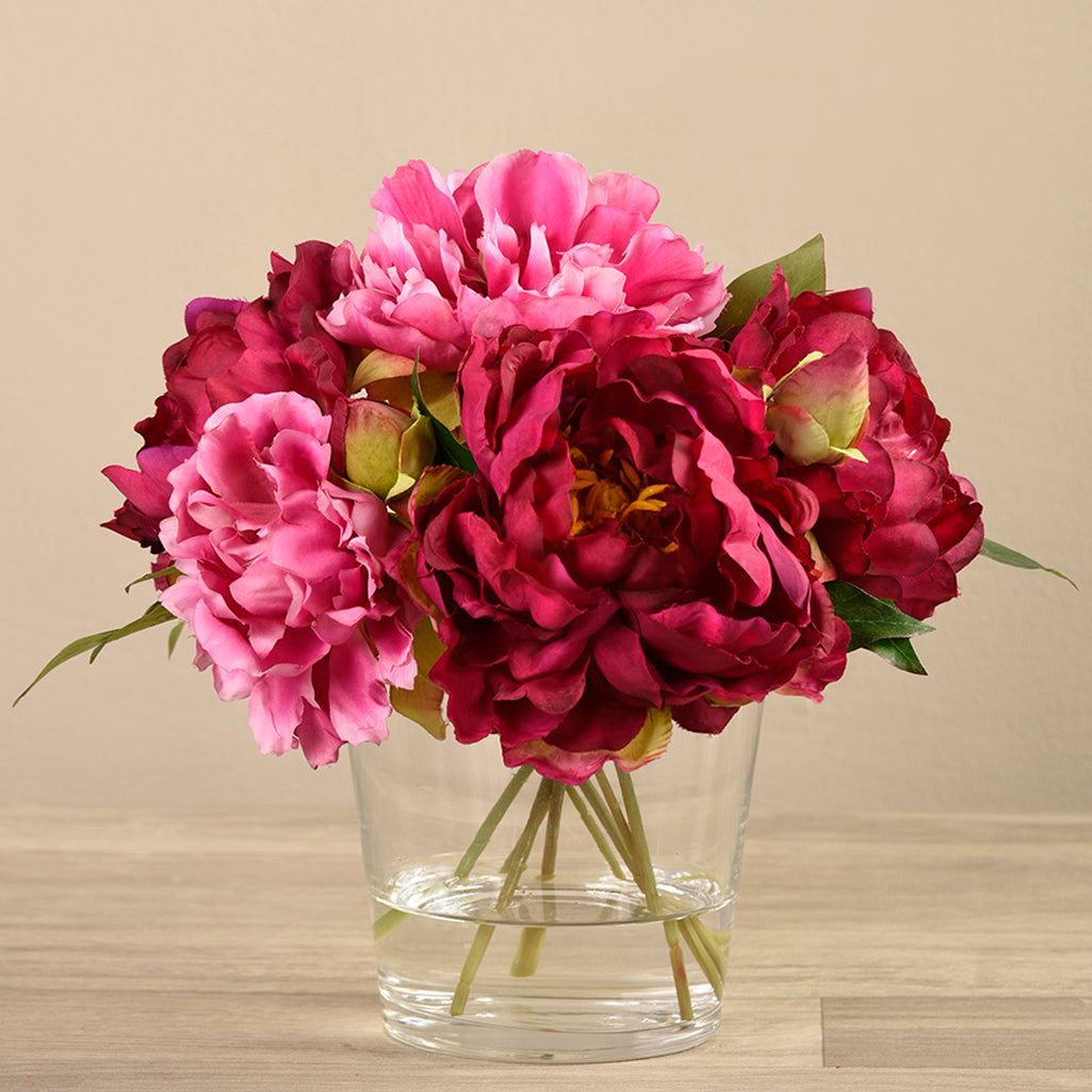 Peony Flowers