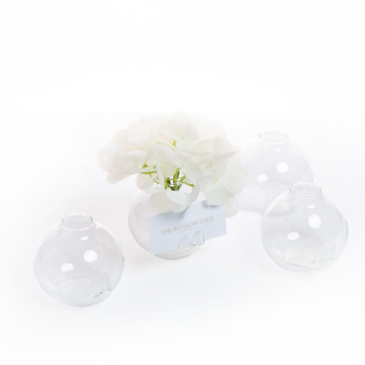 Set of 4 Bud Vase